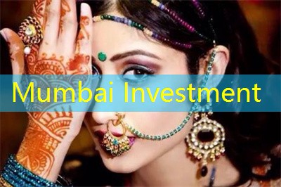 How to understand the investment guide in the Indian market